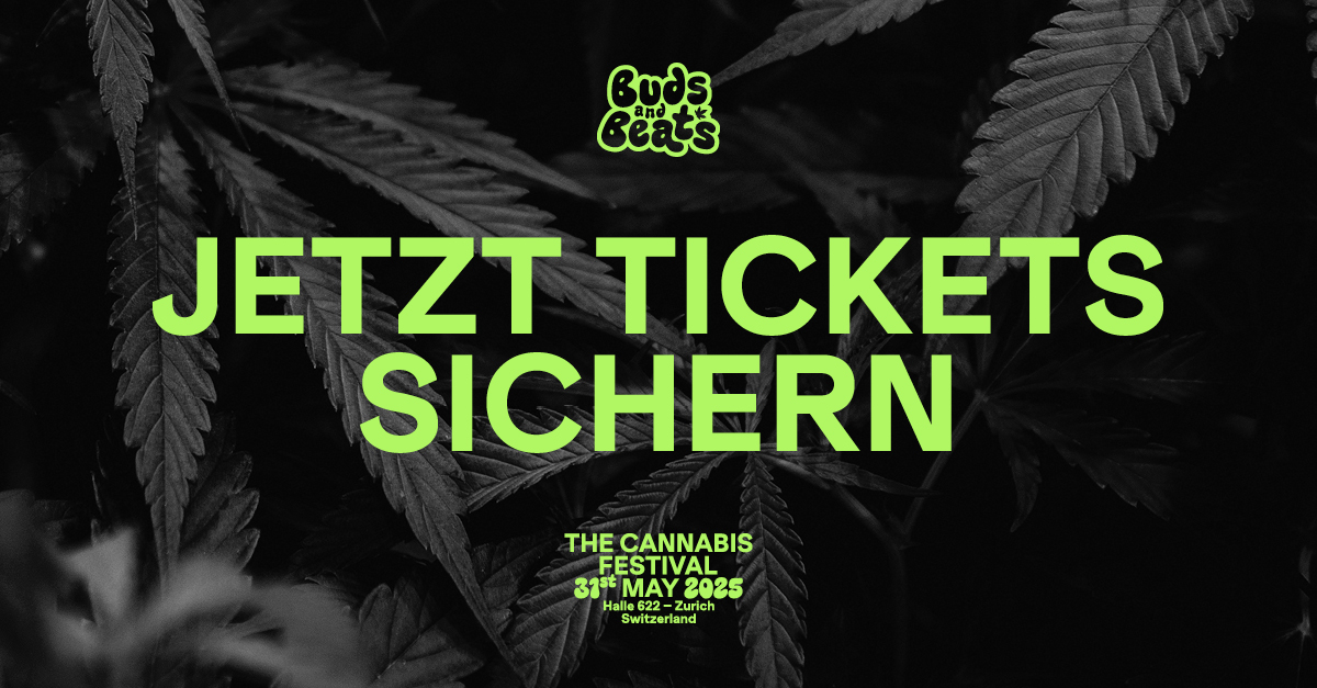 2025_buds_and_beats_some_jetzt_tickets_sichern_linkedin.jpg