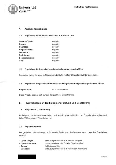 gutachten2.jpeg